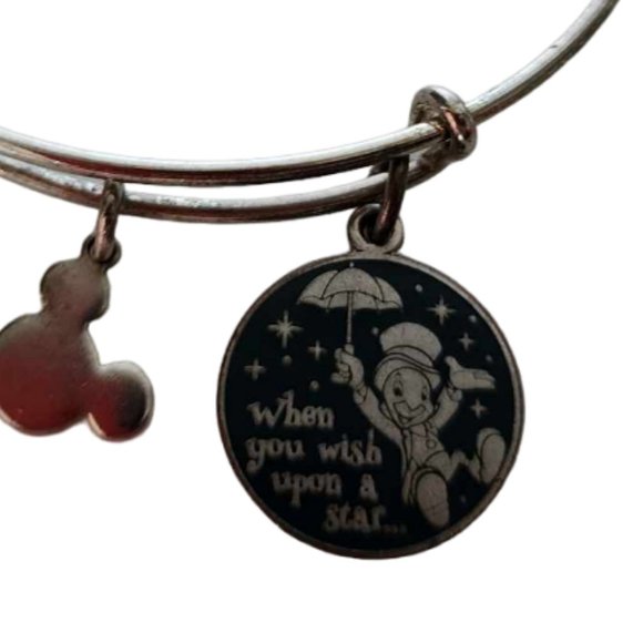 Alex and Ani Jewelry - Alex & Ani Disney "When You Wish Upon a Star" Jiminy Cricket